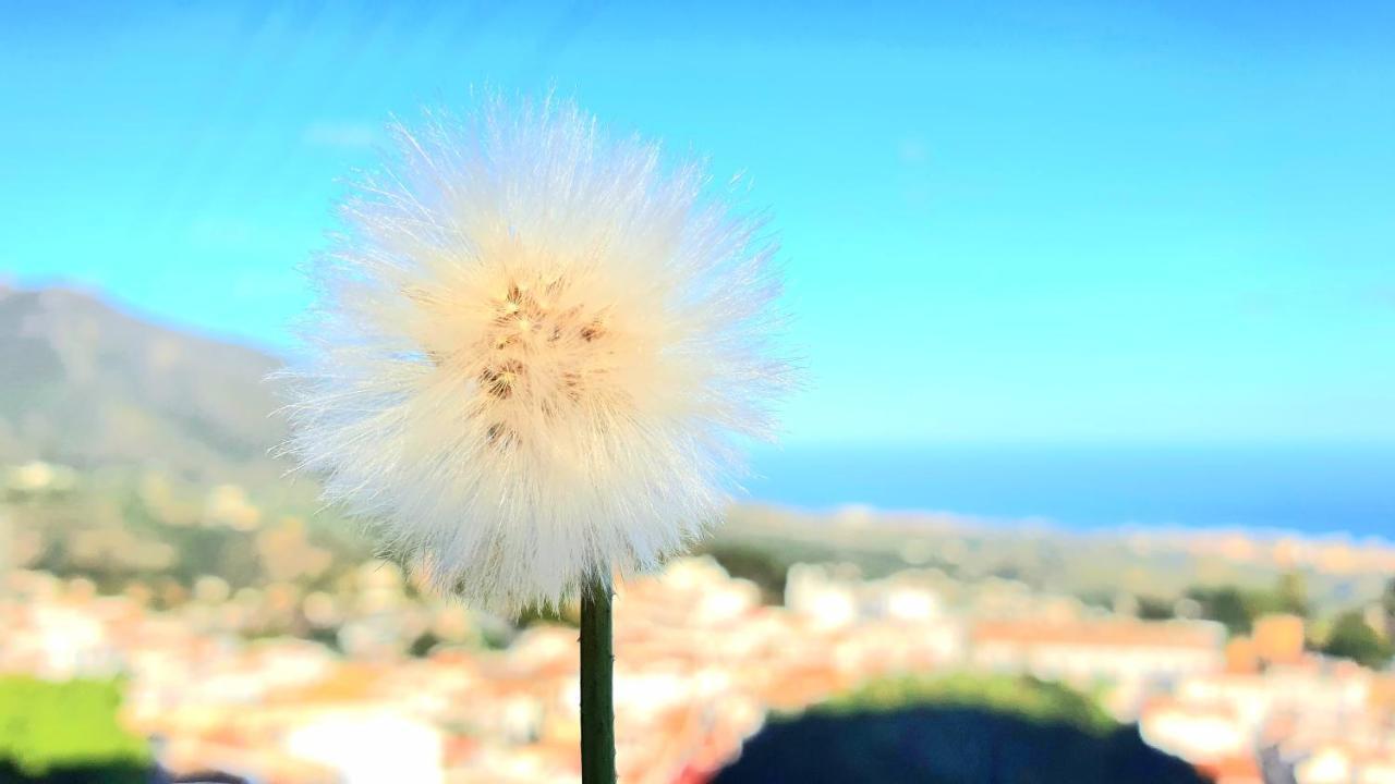 Aa Guest - El Mirador De Mijas Con Vistas Al Mar Appartement Buitenkant foto